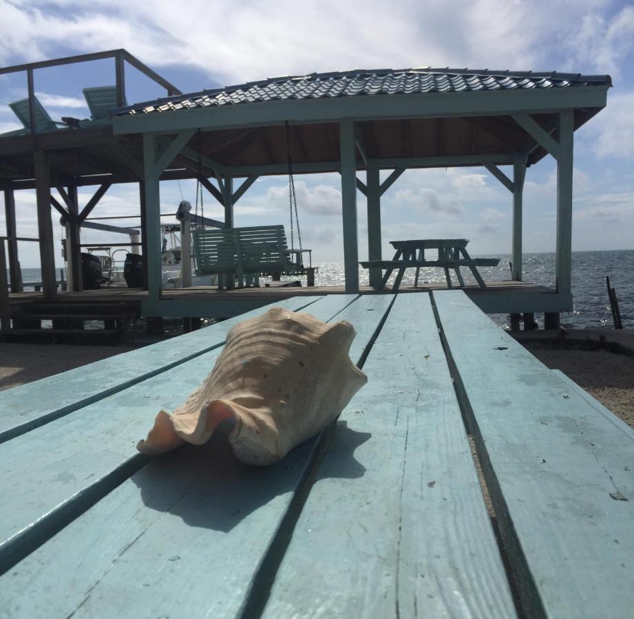 Pura Vida Inn Caye Caulker Eksteriør billede